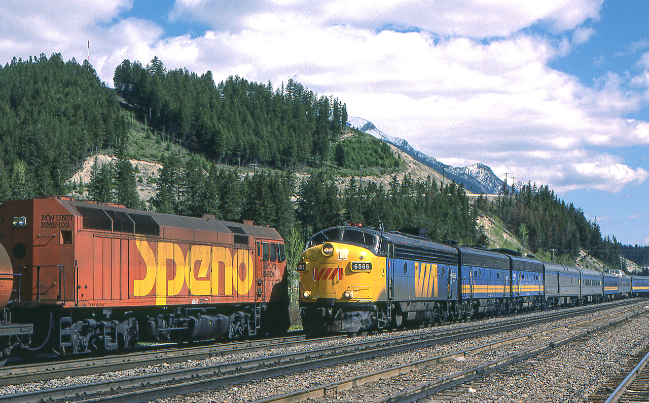 Peter Jobe photographed this meet between VIA #1 headed by VIA 6566 and a SPENO train in Golden, British Columbia on May 12, 1985.