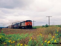Back in September 1993 CN completed a large-scale bridge replacement west of Paris on the Dundas Subdivision. This resulted in CN rerouting trains not only on their Guelph Subdivision, but also detouring across Canadian Pacific’s Galt Subdivision for several days. In the west, the trains would begin their journey to the Galt Subdivision through the interchange track at Woodstock then onto the CP St. Thomas Subdivision for a short stretch before reaching the Galt mainline.
<br>
During one of those detour afternoons, I left school early and my dad and I drove to Wolverton to hopefully catch a CN train on the CP Galt Subdivision. We were heading to Woodstock but made a brief stop as this had become one of our favorite spots to railfan at the time. If memory serves we actually didn’t have to wait long until the scanner crackled and a headlight came into view from the west. 
<br>
Here CN 410 highballs through the east siding switch Wolverton with 2111, 2320 and 2117 just as the sun pierces a small hole through the late summer overcast. I remember clicking the shutter of my small Kodak camera as fast as I could to hopefully capture something. More than 30 years later I would say I was able to get one that was semi-decent. 
