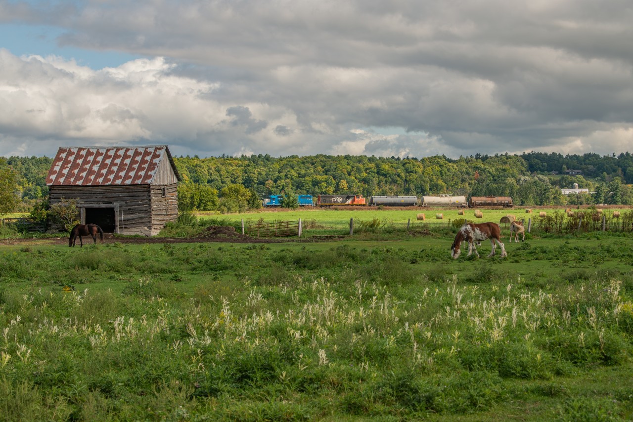 All is tranquil in the farmers fields outside Ottawa as CN local no. 589 wanders to the Nylene facility in Arnprior at 10mph.