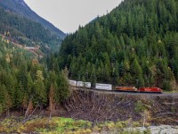 After conquering Rogers Pass, the terrains does not get any easier for CPKC 101 as they follow the Illecillewaet River towards Revelstoke. Shot beside one of the many snow sheds on Highway 1, the damaged trees along the right of way show just how powerful an avalanche can be.  
