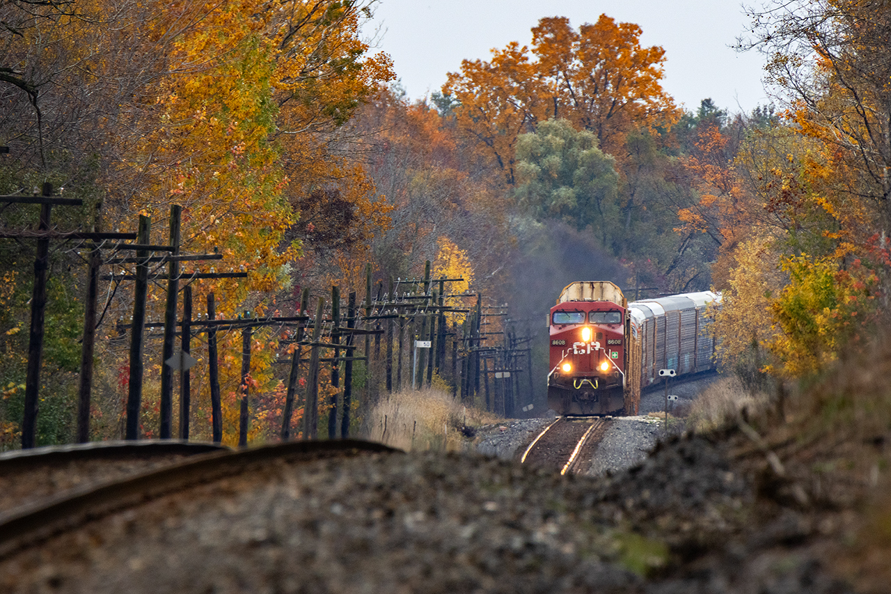A subdivison that from Puslinch to galt is basically flat without ever being flat.