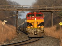 If you wait long enough, it will eventually happen. 8906 has the honours as leader on 528 today, but the timing puts the tail end in wonderful late afternoon faux-winter(it's +12 degrees today....bleech) sunlight is something you're just lucky to get.