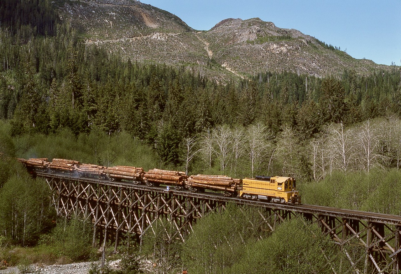 With just two miles to go to reach tidewater at Beaver Cove, a northward train of logs on Canadian Forest Products’ Englewood Logging Division on Vancouver Island is being led downgrade by dynamic brake equipped EMD SW1200 number 4804 across the Elk River timber trestle on Wednesday 1977-04-27.

CFP 4804 (later 304, then in 2006 to Western Forest Products 304) was originally Coos Bay Lumber 1203, then Georgia Pacific 1203, before coming to Canada to join three similar GMD-built units on CFP.  One difference was 4804 had switcher trucks when it arrived and as shown in the photo, but it eventually was converted to Flexicoil trucks like the other three.  After the railway shutdown in 2017, Western Forest Products 301, 302 and 304 were scrapped in 2023, but 303 survives on display at logging headquarters in Woss (https://maps.app.goo.gl/SGRDthxY7EFeCayr7?g_st=im), thirty-seven miles up the Nimpkish Valley from tidewater.
