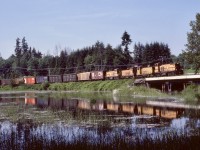 On 1982-05-29, a major fire on the swing span of the Fraser River Railway Bridge between New Westminster and Surrey brought the multi-user rail traffic to a halt for a long time.  BC Hydro’s Valley Freight from New Westminster to Huntingdon utilized a detour route over CP’s New Westminster, Cascade and Mission subdivisions to gain access to their own track at Abbotsford, and due to restrictions on one small portion near New Westminster, were required to use four-axle power on detours.  Thus, an eastward detour leaving Haney on Wednesday 1982-06-09 had BCH 152 (MP15DC) + 906 + 908 (SW900s) + 153 (MP15DC) as they crossed Kanaka Creek on CP rails at 1559 PDT.

<p>BN and CN ran over the same detour route, a bonanza for railway photographers and Kodak.  Having relocated from Vancouver Island to Port Coquitlam just a few months earlier, I was delighted with the many opportunities.