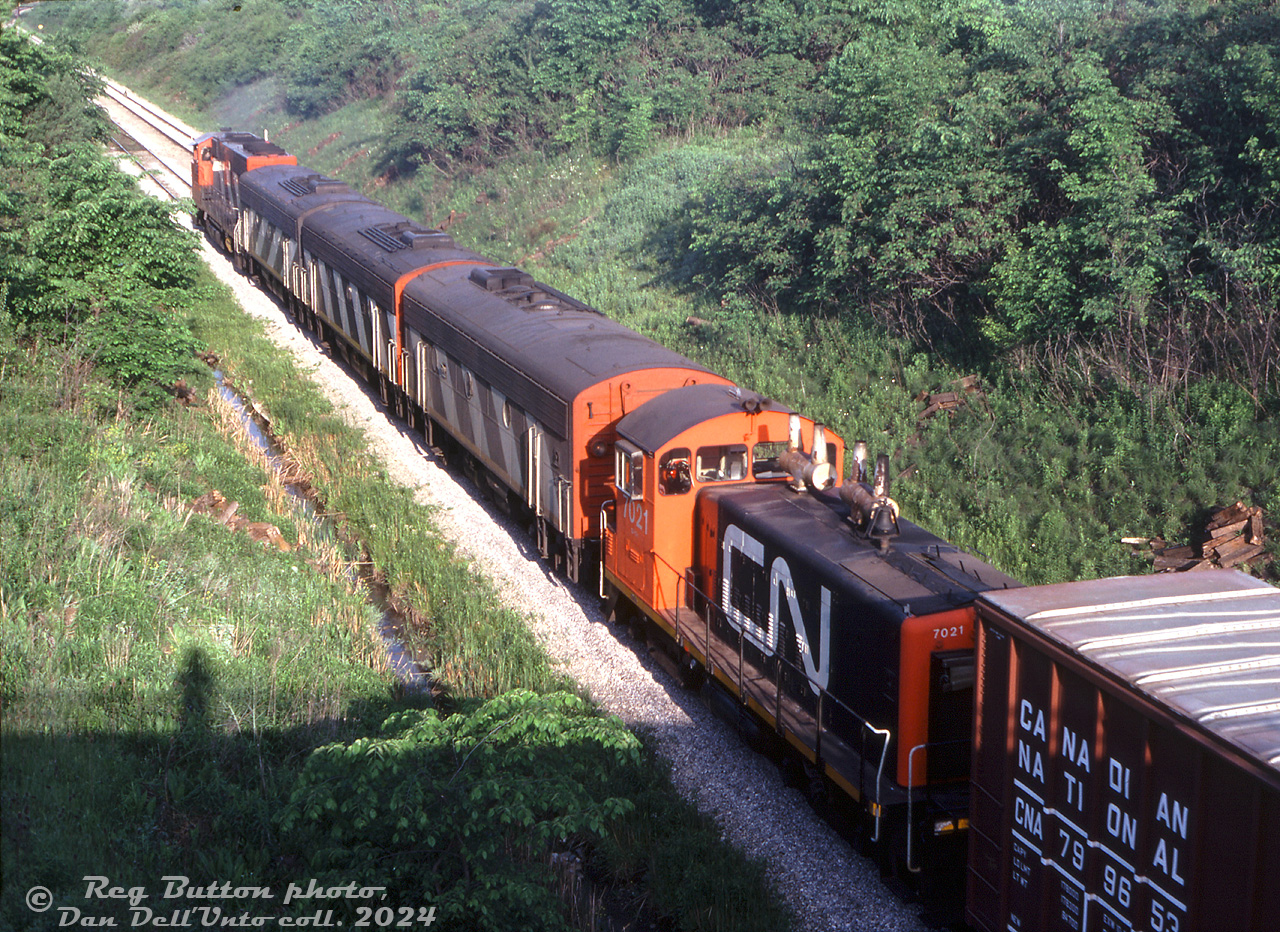 Seeing one B-unit was common, two B-units was a frequent occurrence, but today, CN #436 has cornered the market on B-units: three CN F7Bu's (9190, 9192, 9195) make up most of #436's power today, with GP40-2W 9656 in the lead and SW1200 7021 trailing (not being equipped with MU, it was just along for the ride). The train is on the Grimsby Sub in St. Catharines, possibly viewed from the St. Paul Street overpass.

As part of it's 1970's rebuilt program, CN rebuilt 10 F7B units into the 9190-9199 series to run with their 30 rebuilt F7A's. They were common power running with the A's, GP9's, and more modern power into the late 1980's. Most ended up scrapped, but CN 9190 was acquired by the Feather River Rail Society and painted up as Western Pacific 725B, to go with their WP FP7 805A.

Reg Button photo, Dan Dell'Unto collection slide.