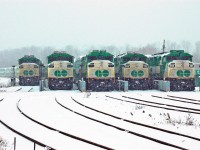 GO Transit's equipment for the Milton Line trains lays over at the former Guelph Junction on a frigid New Year's Eve, 2005.  Only two of these units, 557 and 558, remain on the roster with GO Transit.  The 525 is currently in service with Trinity Railway Express in Dallas, Texas as their #120.  Unsure of what happened to the 537 and 555.  GO operations at Guelph Junction are also history.