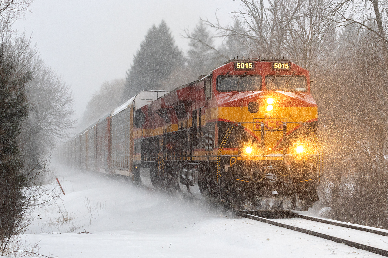 A foamers tale. Winter has returned, although it's not -20 which is nice. I'm out shovelling what will be the first of many passes on the driveway today. West of town, I hear a horn. It's a weird horn. Should I? Roads will be lousy, school bus time, and it's close to beat it to the crossing in good weather. Sure, it's a dumb idea, but let's take the chance. Toss, the shovel, grab the camera, and let's see how it plays out. 

It seems to be snowing harder at the crossing, but with about a minute to spare, I've beaten it to the crossing leaving who knows what from the bottom of the car plowing through a windrow to get off the road. Headlight comes around the far corner, and ....is that a 5 on the lead's numberboard??? That must be the KCS that went through 2 days ago. How did it get through unnoticed???

Sure, enough, it's not one but 2 KCS units leading what turns out to be CP 134(which means this pair made it to Detroit and back unnoticed....shame, shame foamer team) flying across the Galt for Toronto. 

Winter is back, the car survived, and a complete fluke turns into a fun story. Now, back to shovelling.