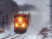 We haven't had much white stuff this winter, but when it comes, it rarely disappoints 