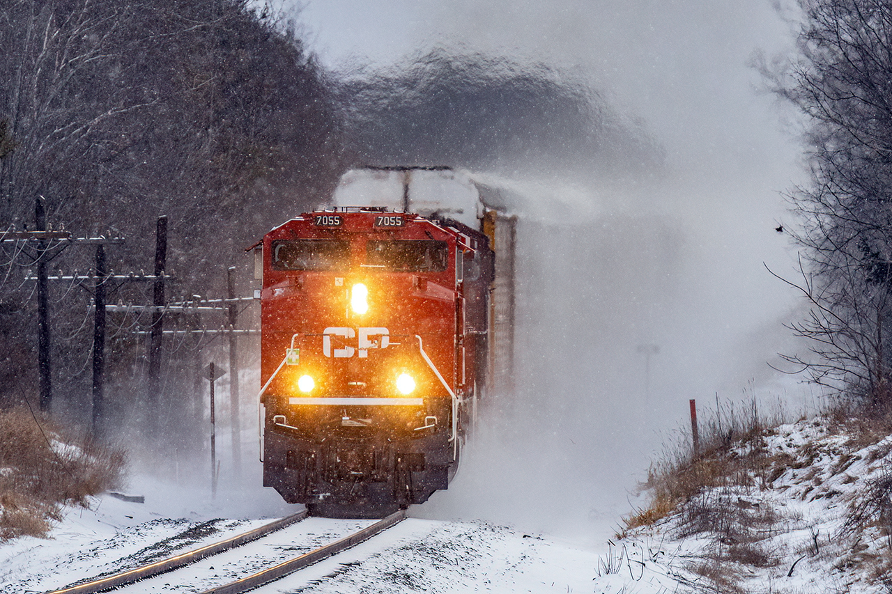 We haven't had much white stuff this winter, but when it comes, it rarely disappoints