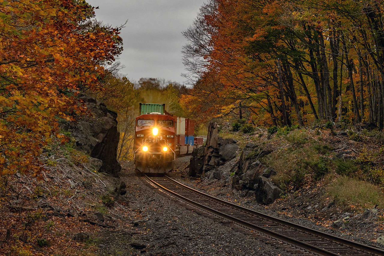 The best of the fall colours have passed, but Muskoka never disappoints.