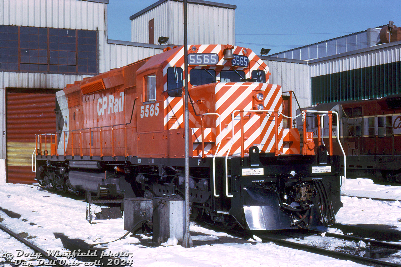 The very first new EMD/GMD SD40-2 unit for CP Rail, 5565, sits in sparkling action red paint outside the Alyth Yard diesel shop in Calgary, Alberta. Delivered to CP on February 16th 1972, 5565 was less than a month old when this photo was taken, and possibly on its first maiden voyage out west. GP9 8611 in older maroon & grey script paint sits in the background.CP 5565 was part of the first order of CP SD40-2's, 5565-5588, built at GMD's London, Ontario assembly plant and delivered in February-March 1972. They were numbered above CP's SD40 series (5500-5564), and the new "Dash 2" model featured a number of improvements on the earlier SD40 design (that CP had had teething problems with). Impressed with their reliability, they became CP's main 3000-horsepower 6-axle road power across much of the system for decades, with CP eventually accumulating over 500 new and secondhand units (CP was the third-largest SD40-2 owner, behind BN and UP).CP 5565 was retired and sold to Progress Rail in 2007, eventually falling off the radar (possibly scrapped or stored out of service somewhere).Doug Wingfield photo, Dan Dell'Unto collection slide.