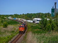 After meeting 105 at Zephyr, CN 104 gets up to track speed through the curve at Mount Albert.  At one time a town served by two railways, today the CN Bala Sub, originally built by the Canadian Northern in 1906, sees all traffic on its transcontinental journey.<br><br>The other line, arriving in Mount Albert in 1877, was the narrow gauge Lake Simcoe Junction Railway, a subsidiary of the Toronto & Nipissing Railway. The LSJR was constructed from Stouffville Junction to Jackson's Point on Lake Simcoe via Ballantrae, Mount Albert, and Sutton, eventually crossing the Canadian Northern at Zephyr, just north of Queensville Sideroad.  Traffic levels dwindled after the construction of both the CNoR, and the Toronto & York Radial Railway to Sutton (opening 1909), resulting in the abandonment of the Sutton Sub between Zephyr and Stouffville Junction in 1928 (service ending in May, and rails lifted by October).  Jackson's Point to Sutton had been abandoned in 1927.  Redesignated as the CN Sutton Spur in 1960, service would cease in 1979, with the rails being lifted in 1981.  The LSJR passed roughly 1000 feet off to the right of this image.<br><br>Some information can be found on the late Charles Cooper's website by <a href=https://railwaypages.com/lake-simcoe-junction-railway>clicking here,</a> and further information can be found in his book <i>Narrow Gauge for Us: The Story of the Toronto & Nipissing Railway.</i>

<br><br>Scenes of Mount Albert station, relocated to Cannington, ON in 1978:
<br><a href=http://www.railpictures.ca/?attachment_id=51081>September 1976, Arnold Mooney</a>
<br><a href=https://www.railpictures.ca/?attachment_id=43929>March 1978, Arnold Mooney</a>
<br><a href=http://www.railpictures.ca/?attachment_id=44005>Fall 1978, Peter Newman</a>

<br><br>Scenes of CN's Sutton station, relocated to Georgina, ON in the late 70s:
<br><a href=https://www.railpictures.ca/?attachment_id=52368>October 1976, Arnold Mooney</a>
<br><a href=https://www.railpictures.ca/?attachment_id=34107>October 1976, Arnold Mooney</a>