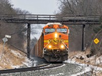 As rare as Feb 29? No. 6 times in the last two weeks CP 137 has been a pure set of BNSF power. 