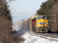 A wonderful morning surprise on a crisp early spring morning. Apologies for taunting Karma on Wednesday suggesting the snow was done :)