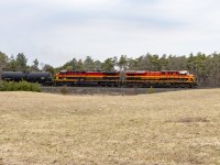 More CP, than KC today. I leader was expected as it has been on 238 for about a week. But two together....possibly assigned to the job for a while......the chase begins. 