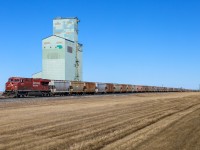 CP 8777 South leads potash train 605 past the old elevator ant Niobe, after meeting CP 2816 north at Penhold. 