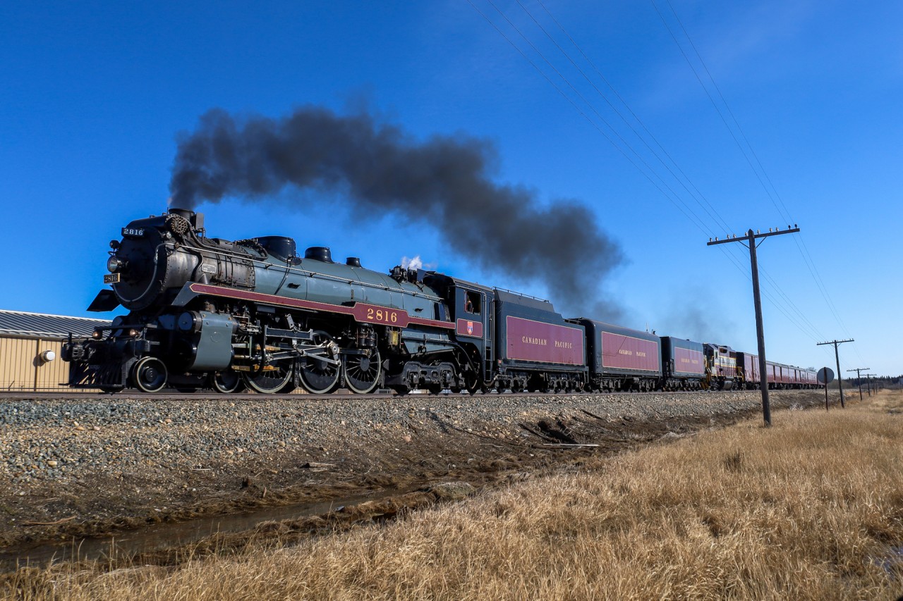 CP 4-6-4 2816 opens up the throttle as she works through Millet, Alberta on a beautiful spring afternoon.