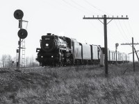 CP 2816 north splits the searchlight signals on the Leduc Sub. 