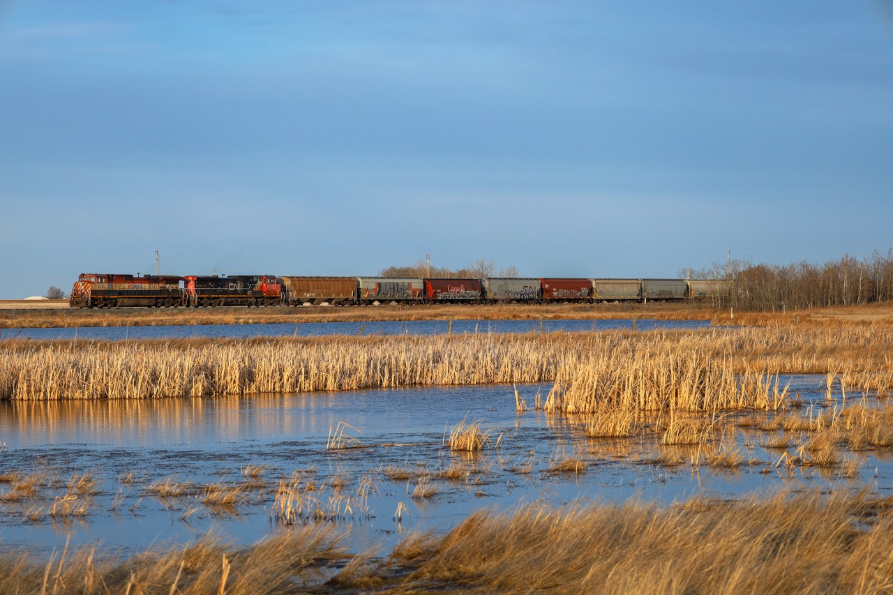 BCOL 4642 and CN 2522 bring G 84741 15 across the Alberta prairie.