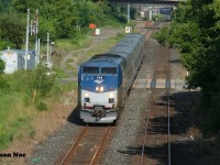 VIA Rail # 97 with Amtrak P42DC 101 is viewed passing Mile 43 on the CN Grimsby Subdivision in Hamilton, Ontario. 