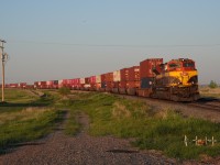 CPKC 113 sits in Maple Creek while waiting for several meets as the subdivision was quite clogged, many train having to wait for serveral trains. It was at peak golden lighting and being there on a trip, I snuck away to shoot this train before hitting the ol' dusty trail again.