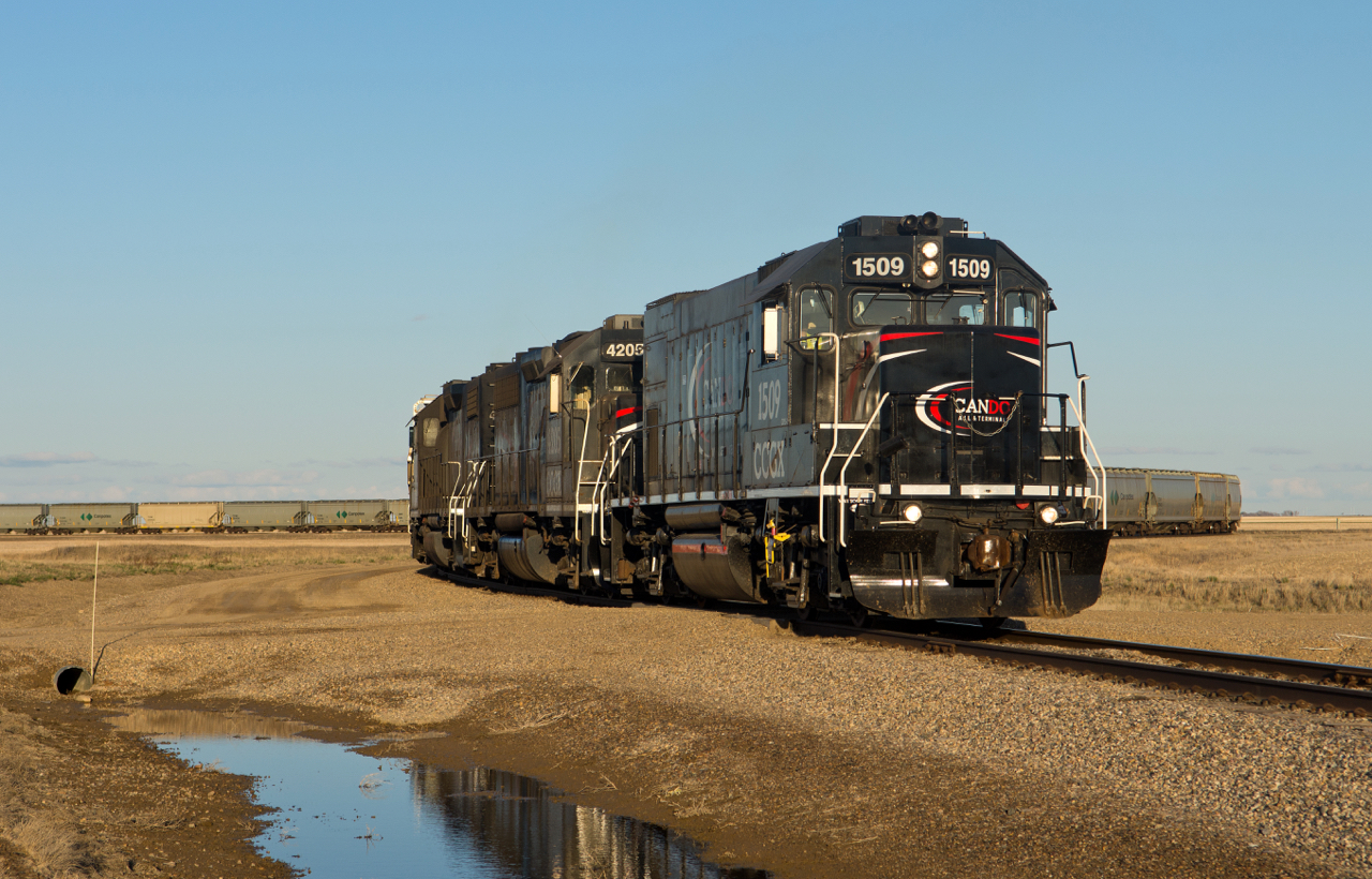 CANDO GP15-1 #1509 and two GP38 variations slowly muscle 98 potash loads trough the "S" curve between CANDO's storage yard and the Mosaic potash mine.