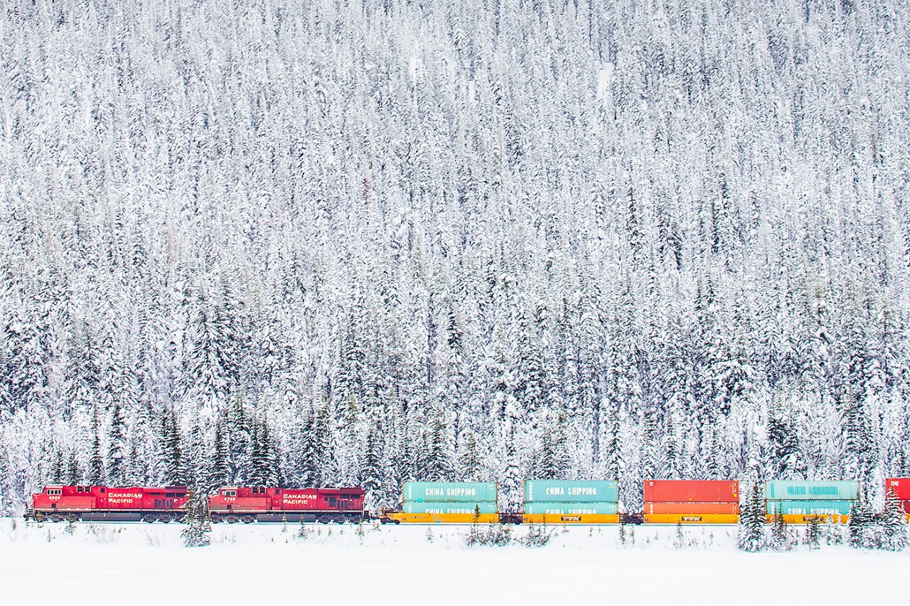 CP 8900 is about to cross the continental divide after a long climb from Field.