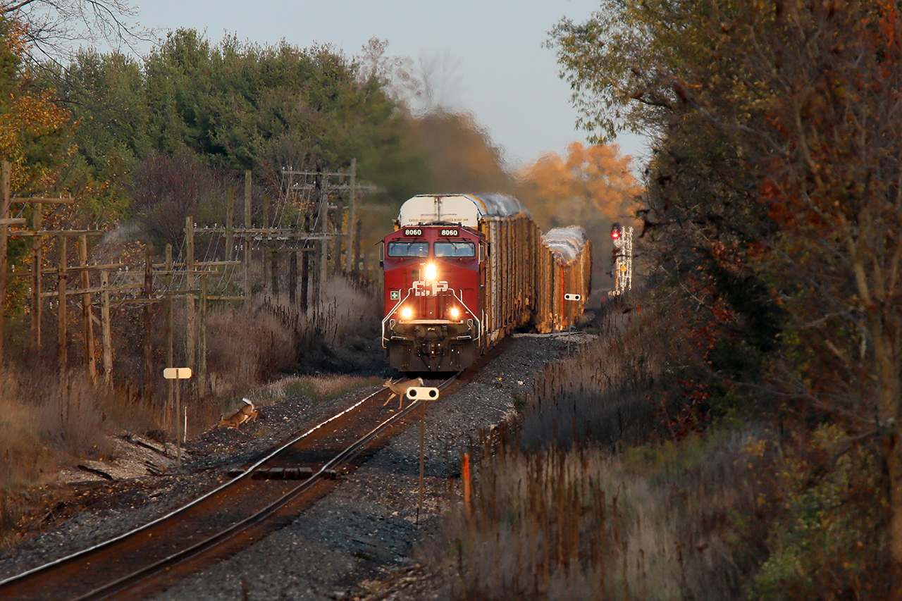 Fans come in all shapes and sizes. Some are very irresponsible. Happily, this turned out just fine with the 2 Bambi's getting out of the way in time. Still uncomfortable to watch.
