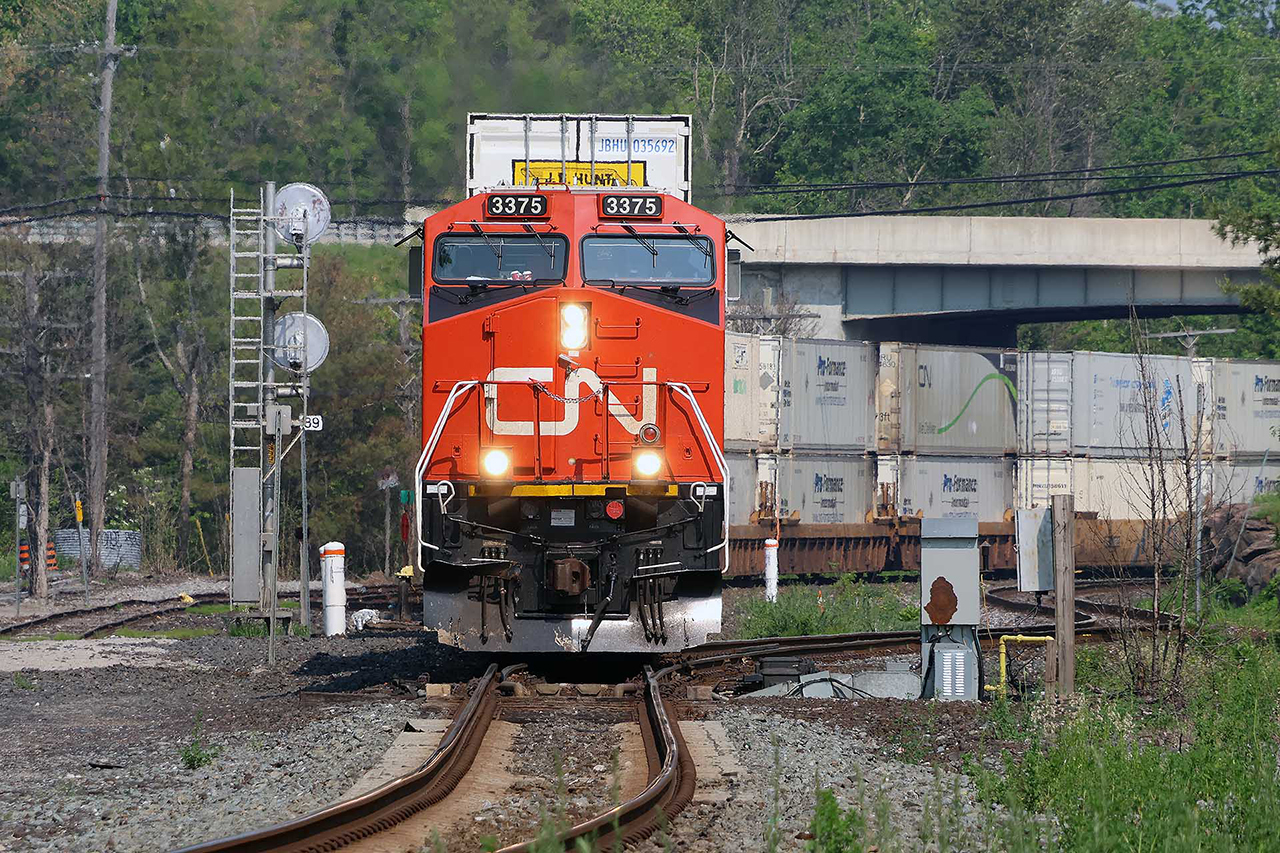 Another of CN's endless parade of stackers passes under Highway 11.