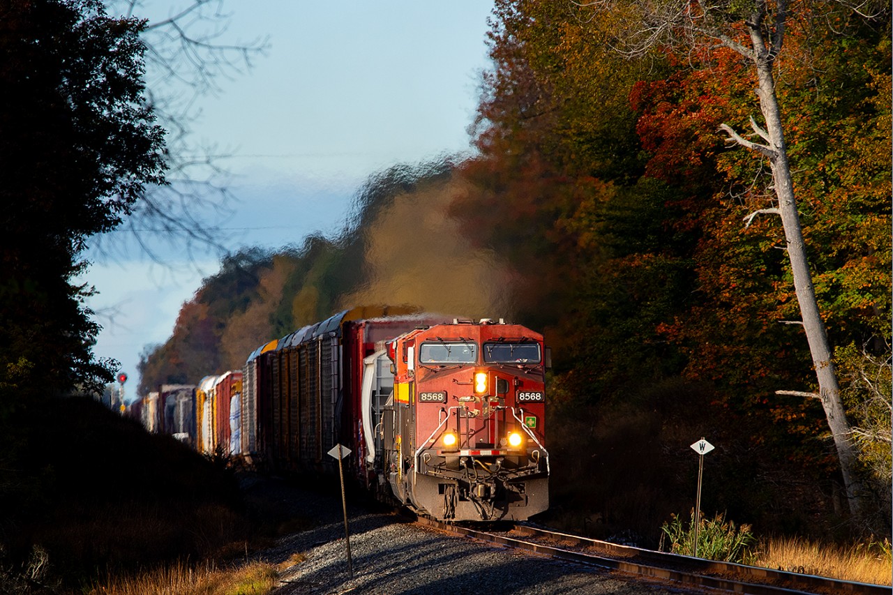 CP 8568 emerges from the increasing autumn shadows as it approaches Brighton on its eastbound journey.