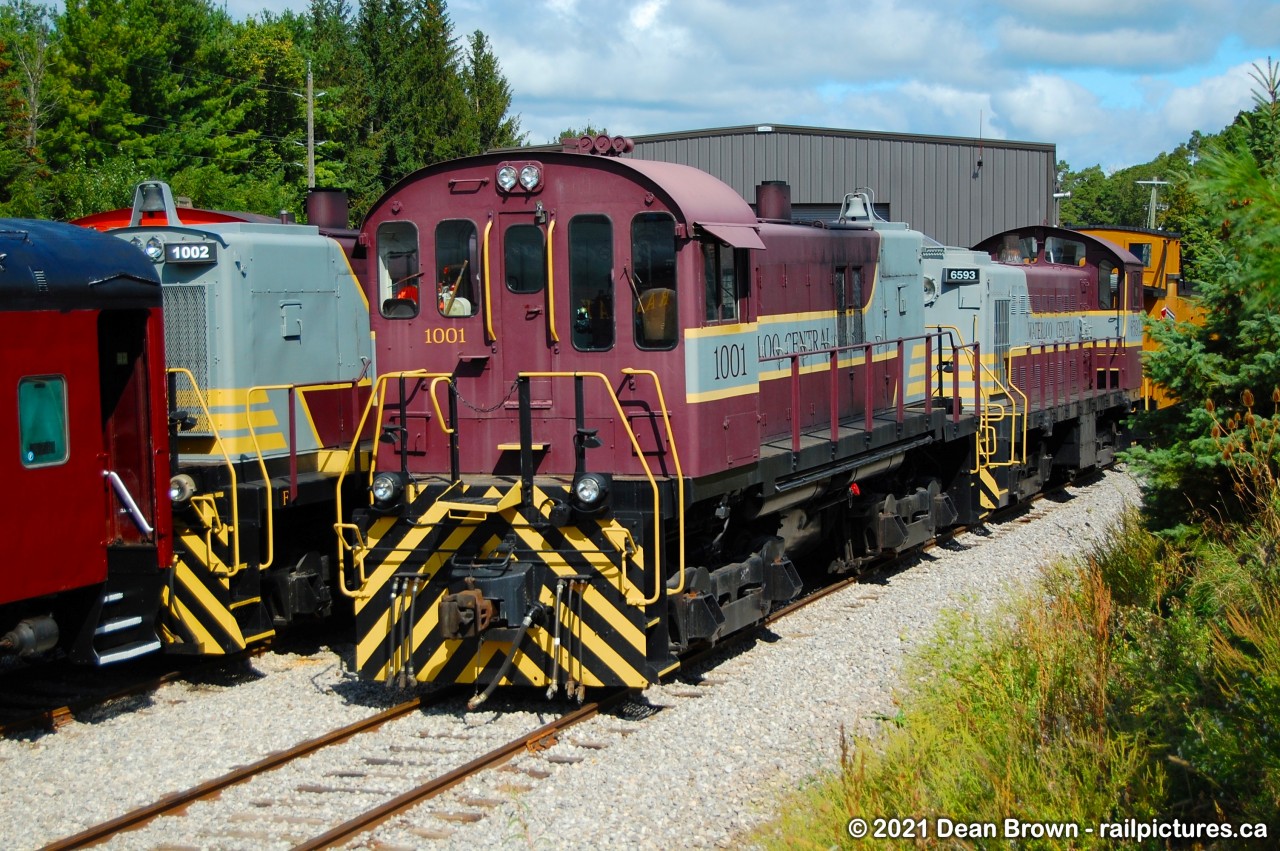 A handful of motive power stored at St. Jacobs during the COVID-19 Lockdowns.