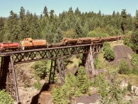 This is intended as a direct comparison with my post last week which showed CZ 8427 and log loads eastward in early morning sunshine on the same bridge seven years later.  This one, with ALCo RS-3 4097 with an active water car (note the brakeman has the flush valve open to discourage any brake shoe sparks on the wooden deck) was taken on the second trip of the day around 1100 PDT on Monday 1974-07-29 (just ten months since 4097 was painted orange with white stripes), with notably less pleasing lighting than the first trip, and was my first try at climbing the tall tree that became a favoured camera perch.  Within the limits of a 35mm camera and 45mm focal length lens, the river had to be omitted to include the tree line behind.

<p>Often I wondered while waiting up that tree what would happen if something went wrong during my descent, as the crew would not have seen me, but would pass my truck (which they knew well) at the nearest road access half a mile further on.