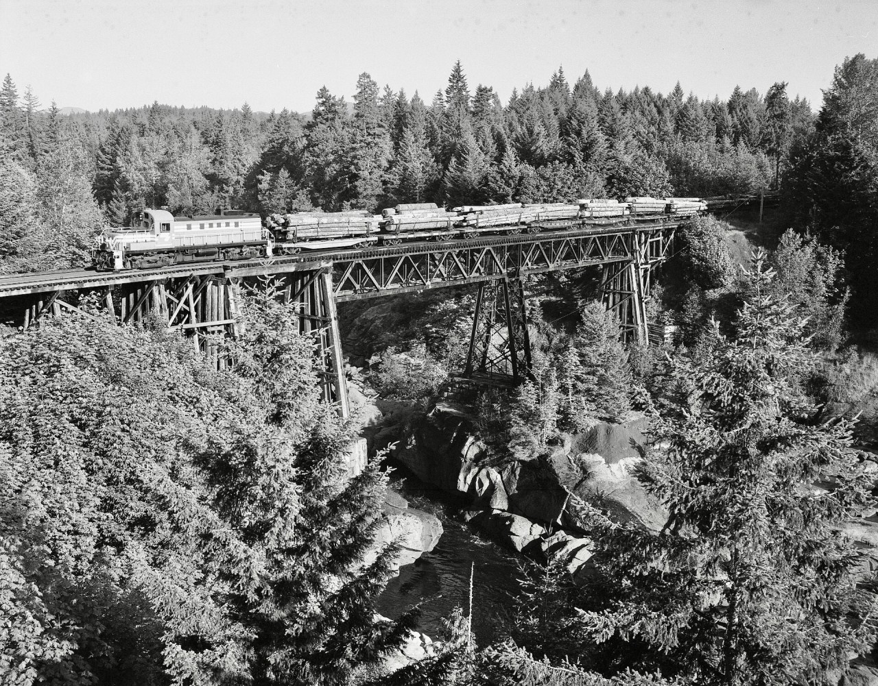 By far, the most significant bridge on Crown Zellerbach’s log-haul railway from Nanaimo Lakes to Ladysmith was the one over the Nanaimo River at mileage 8.0 from Ladysmith, and about 3.1 km (as a raven flies) upstream from Cassidy on the TransCanada Highway, with a history as part of an earlier Wellington Collieries line from Extension to Oyster Harbour (renamed to Ladysmith).  That bridge frequently attracted my cameras, from many angles, first with ALCo RS-3 4097 (ex D&H 4117) then with MLW RS-3 8427 (ex CP 8427), with one questionable-sanity very tall tree perch on the south bank that allowed capturing the full bridge right down to the water.

A 50 mm lens on a 35 mm camera worked okay, but was a bit tight; purchasing a Pentax 6x7 camera with 105 mm normal and slightly wide-angle 90 mm lenses opened up possibilities.  A first trial with the 90 mm lens and the second CZ loaded weekday run worked well at 1124 PDT, so the first trip and nearer the summer solstice for best lighting was tried, with this result on Tri-X film at 0755 PDT on Thursday 1981-06-25.

Thus greatly encouraged, I returned on Wednesday July 1, 1981, with Vericolor film for a 6x7 cm colour positive version at 0814 PDT, but to my everlasting dismay, that roll of film was the only one I ever lost in a professional photo finishing lab.  Mr. Murphy won that round!

By the time I learned that sad fact, the CZ operation was shut down (a forest industry strike, I believe) and did not restart until the morning lighting for the first trip was no longer there.  Then in February 1982, I relocated to CP’s near-new Coquitlam Locomotive Facility in Port Coquitlam, and did not get back to Ladysmith until long after 1985-06-20 when that bridge (mainly the trestle part directly under 8427 in the photo) burned extensively which resulted in permanent shutdown of that railway.