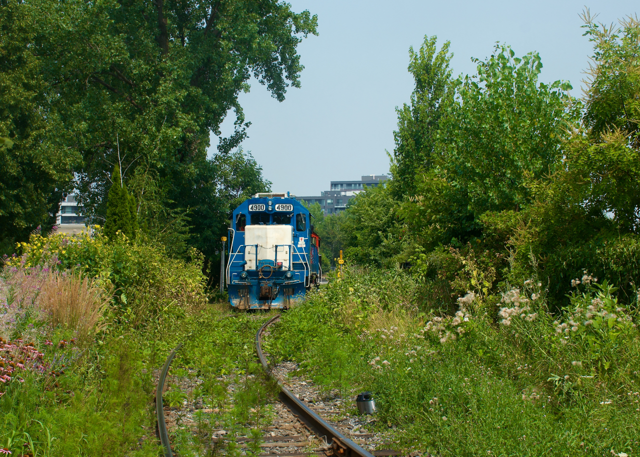 The vegetation is thick on and near the tracks as CN 500 spots grain cars at Ardent Mills.