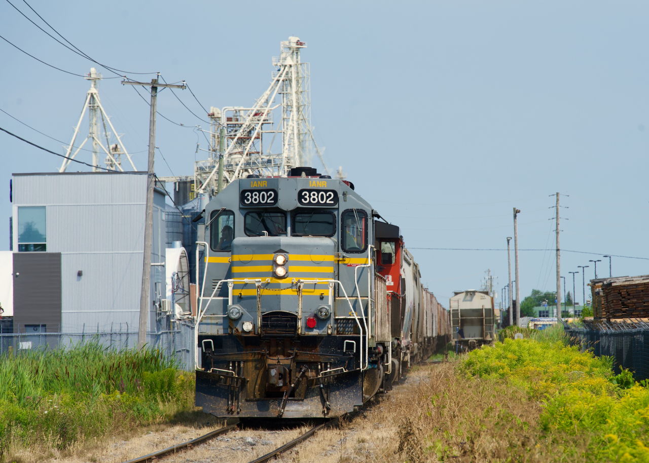 CN 522 with IANR 3802 & CN 9411 for power is shoving 27 grain cars towards Nova Grain in Saint-Jean-sur Richelieu. After it will lift the grain empties at right. 