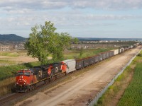 A421 is about to duck under Britannia Road with a "Clear Signal" at Ash and 126 cars stretching into the distance alongside ongoing construction work between Derry and Ash for the future South Track.

