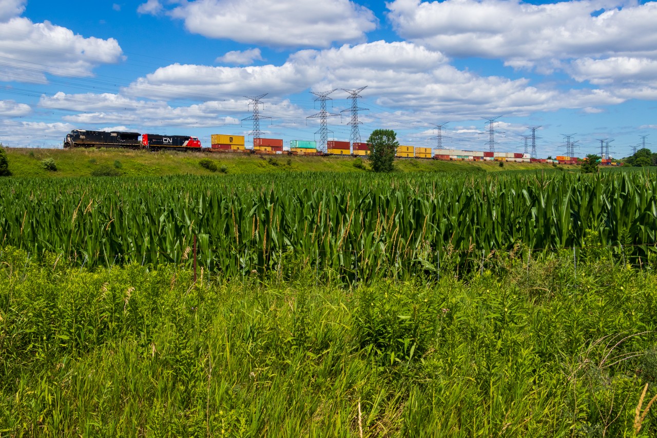 CN 149 lugs its train up the hill between Pickering and Markham with CN heritage unit 3008 leading and nearly new SD75IACC rebuild CN 8301 trailing. The nearby defect detector was broken, giving a reading of 153 axles (unlikely) and 0 speed (I don't think so). To its credit, it began the reading by "not working."