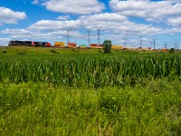 CN 149 lugs its train up the hill between Pickering and Markham with CN heritage unit 3008 leading and nearly new SD75IACC rebuild CN 8301 trailing. The nearby defect detector was broken, giving a reading of 153 axles (unlikely) and 0 speed (I don't think so). To its credit, it began the reading by "not working."