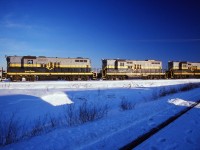 When this photo was taken, the sun was setting on the Northern Alberta Railways--both literally and figuratively. I don't have any background on the photo and can't nail down the date or specific train ID. But I do know that the NAR became the CN Peace River Division on 1 January 1981 (it previously had been jointly owned by CN and CP). The NAR's 10 GP9s entered service in 1958 and would be renumbered to CN 4602-4611 after the acquisition. For the record, the units in the photo are 206, 205, and 211 (the latter having been rebuilt from unit 202 after a head-on collision at Carbondale in November 1959).