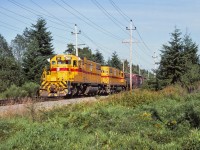 SD38-2 382 was one of two built in 1972 for BC Hydro by EMD in the U.S. (BC Hydro also received an SD38AC in 1971 and another SD38-2 in 1974--the latter is still in service on the Southern Railway of British Columbia.) On a pleasant day in the summer of 1984, we see both of the 1972 SDs leading a train past the Sperling siding in Langley--four years before BC Hydro's rail operations were sold to Itel (and later the Washington Group).