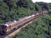 Although the RDC's are on a VIA train, these RDC's are still in Canadian Pacific paint. It is July 24, 1980 near Bayview Junction, Ontario.