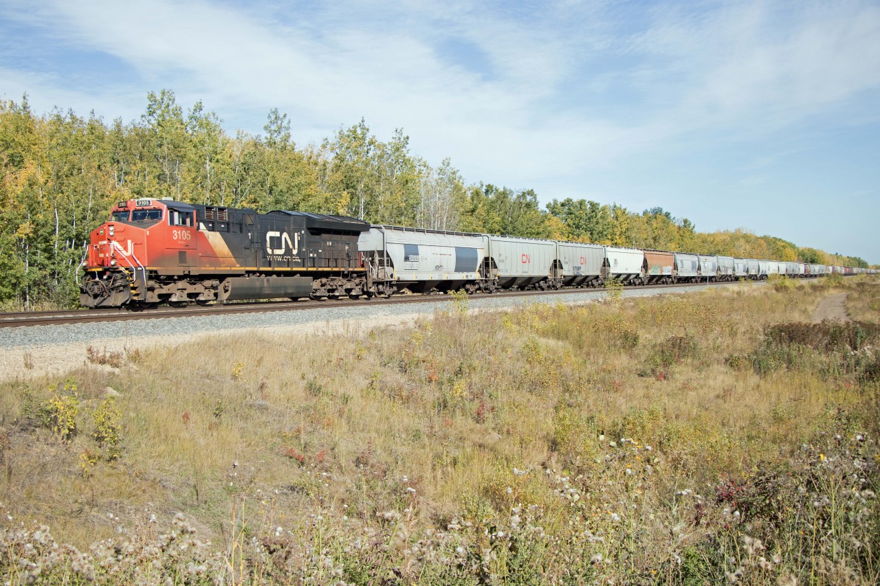 There's a reason they're called "grain drags"...G81551 struggles up the grade to Carvel behind ET44AC 3105 and mid-train DPU 3279. Doing about 15 mph with 150 loads (0 empties, 20,772 tons, 8790 feet), it's going to be a long trip to the summit of Yellowhead Pass!