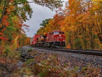 There is nothing like fall. The train is a bonus.