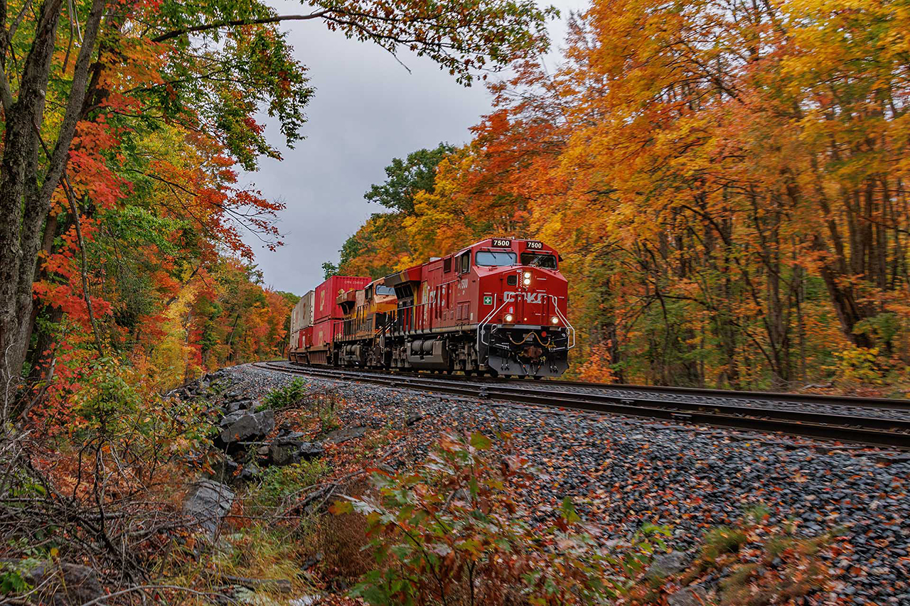 There is nothing like fall. The train is a bonus.