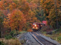 There is nothing like fall in Ontario. 