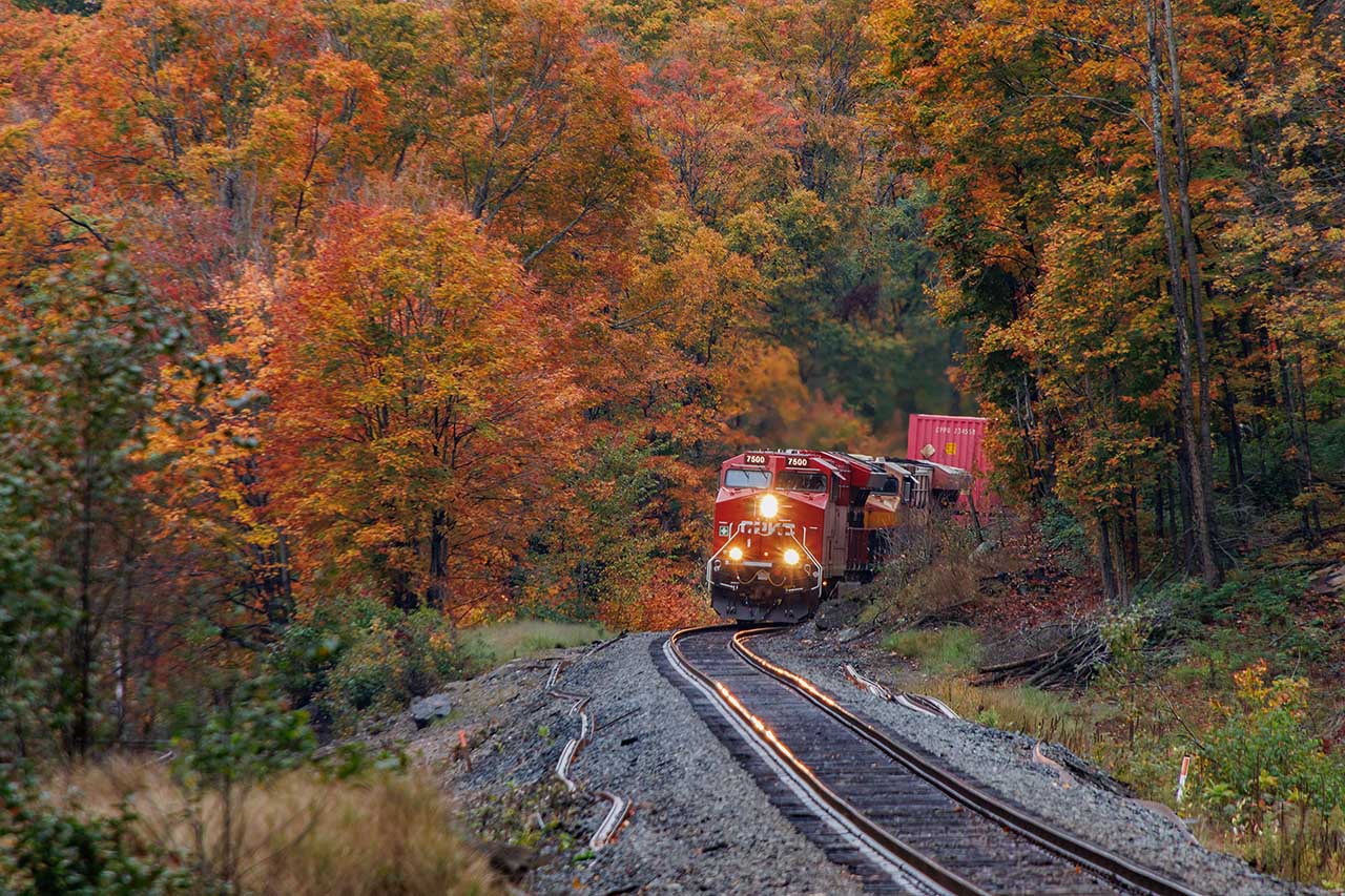 There is nothing like fall in Ontario.