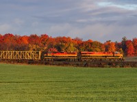 Train rumours come and go, and a KCS GP40 coming into Canada would be a first. But there was no way it would still be around after sunrise.....or would there? Congestion at Wolverton(3 trains at once.....and an RTC curled up in the fetal position) led to 2-230 passing through peaking Southern Ontario colours. It's better to be lucky than good. 