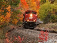 It's been an odd fall for colours. In some places, it's quite muted, and in others explosive. The sun never really touches this spot for an eastbound (in fact, this is almost dead into the sun if it were out), but when I saw it, I knew I'd wait after 137. I think it was worth it. 