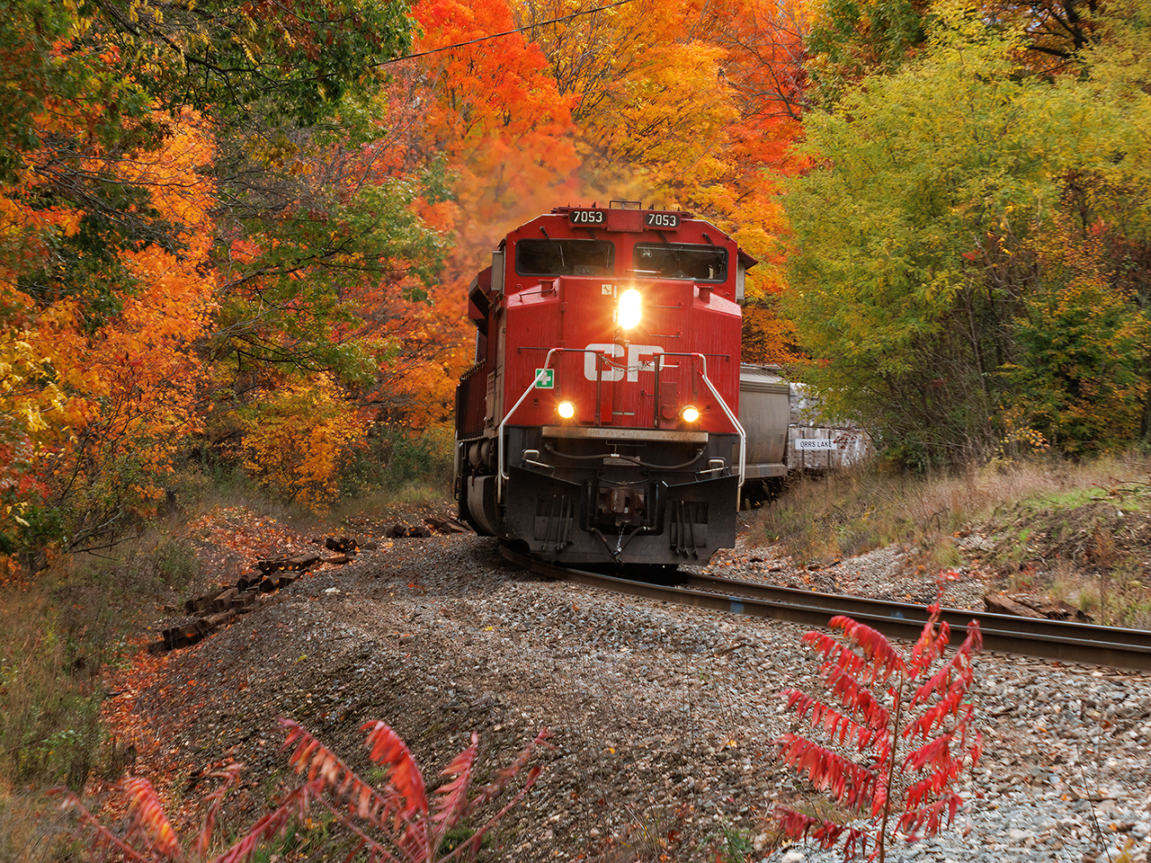 It's been an odd fall for colours. In some places, it's quite muted, and in others explosive. The sun never really touches this spot for an eastbound (in fact, this is almost dead into the sun if it were out), but when I saw it, I knew I'd wait after 137. I think it was worth it.