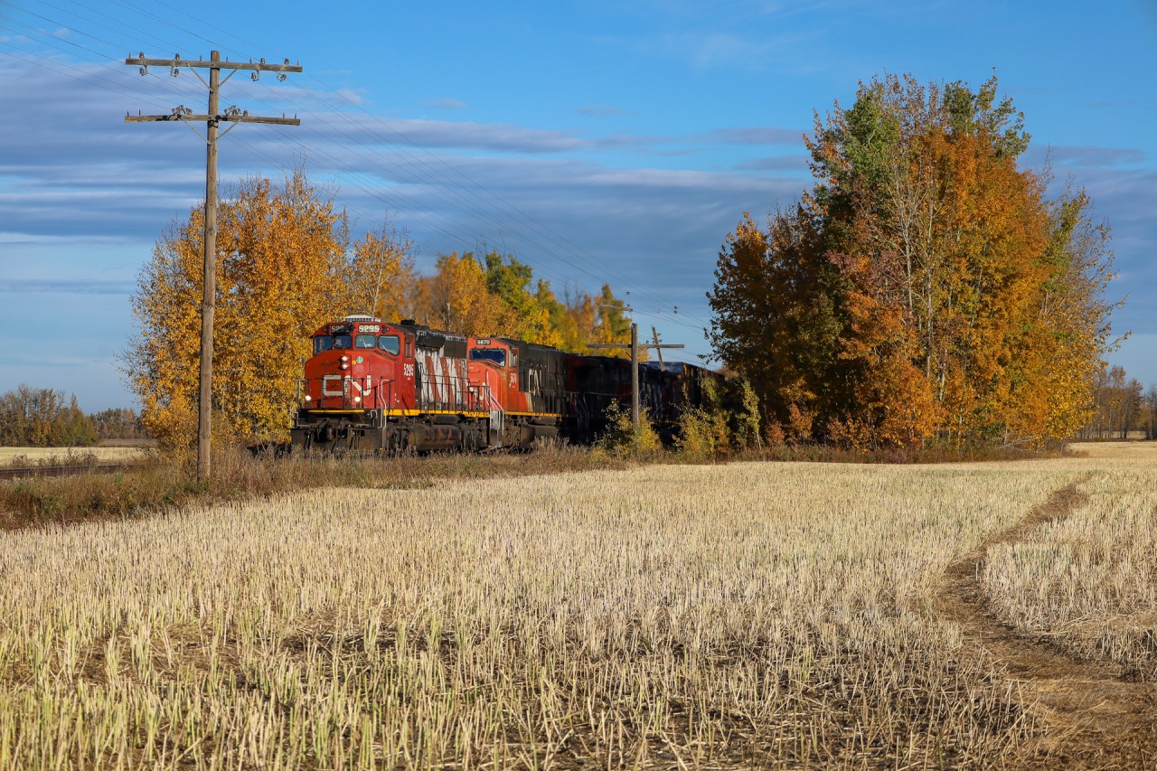 The old NAR pole line stands guard as CN 5295 leads A 41851 02 towards Westlock.